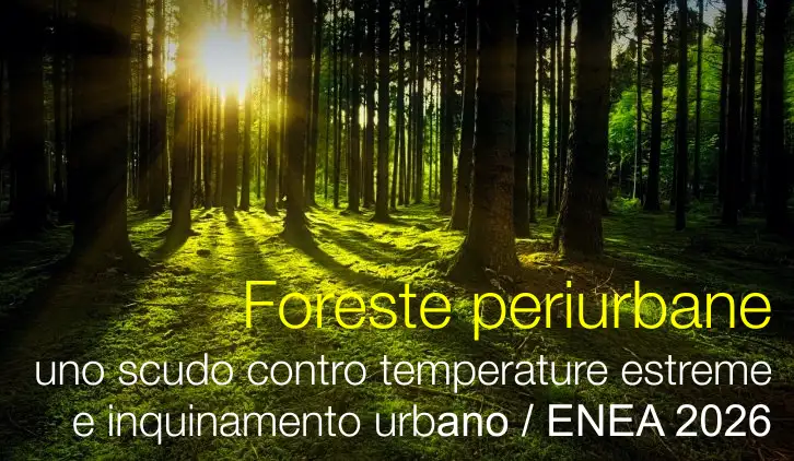 Foreste periurbane, uno scudo contro temperature estreme e inquinamento urbano / ENEA 2026